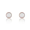Boucles d’oreilles Femme Emily Westwood WE1023R - Acier Doré rose