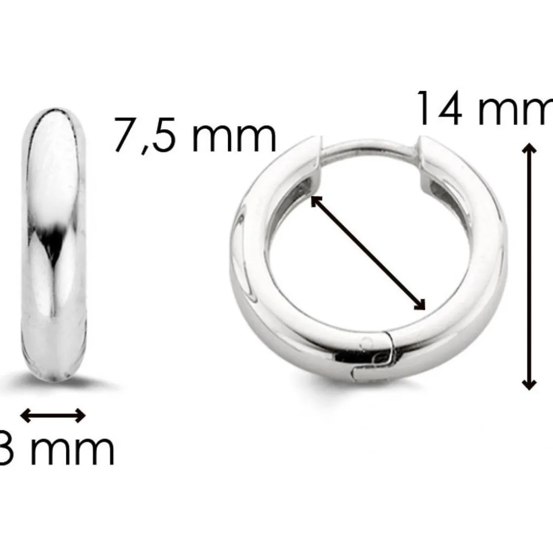 Boucles d'oreille Silver Ti Sento 7210SI