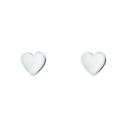 Boucles oreilles Ted Baker TBJ872-01-03 - Argent