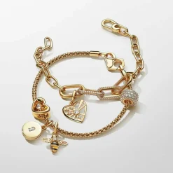 Bracelet Femme Pandora 562731C00