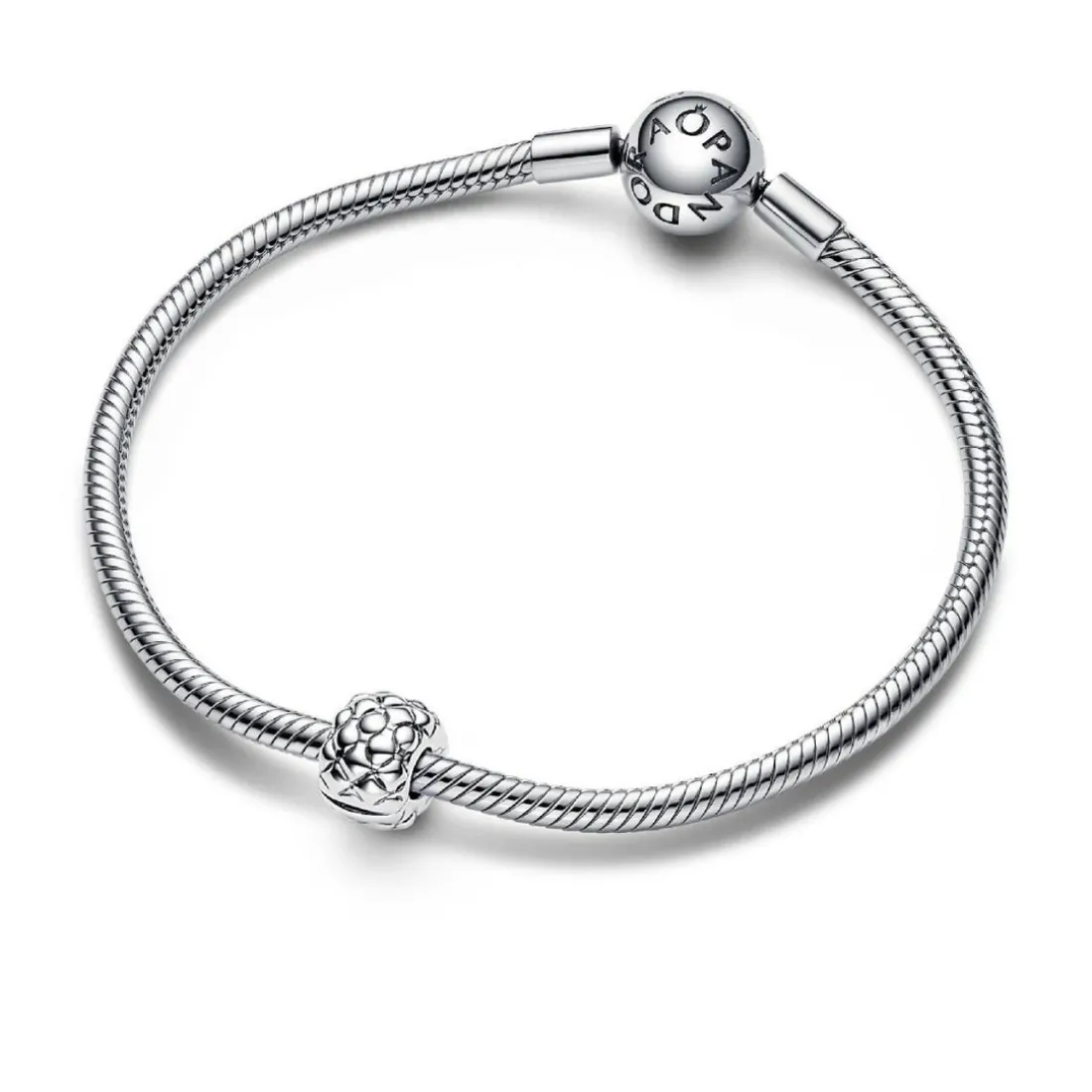 Charm Clip Clouté Audacieux