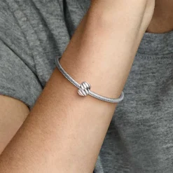 Charm Pandora Moments Clip à Plumes