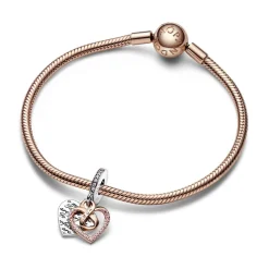 Charm pandora Moments - Pendant Double Cœur de l’Infini Bimatière