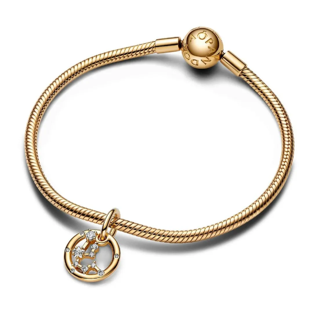 Charm Pendant Signe du Verseau