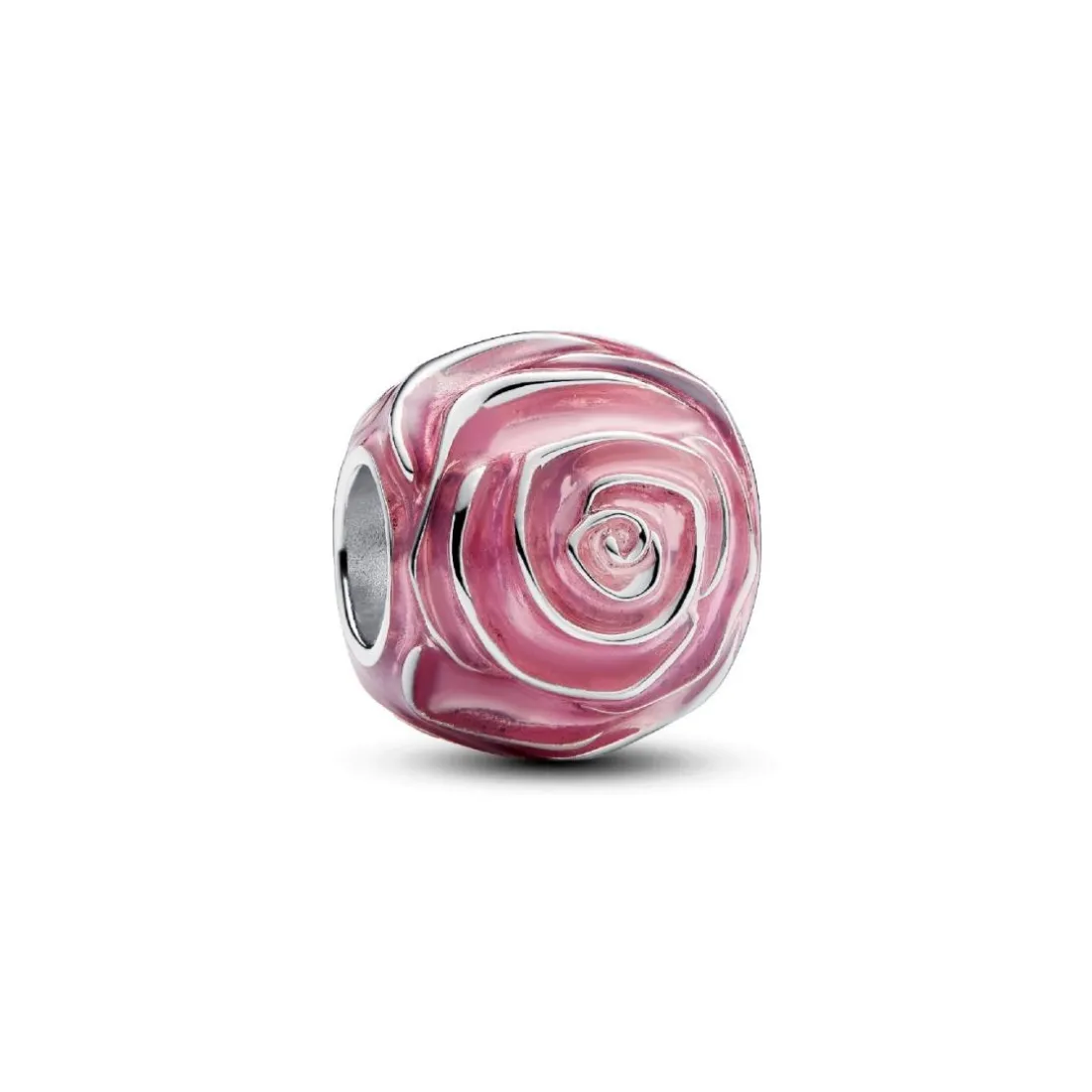 Charm Rose Épanouie Rose