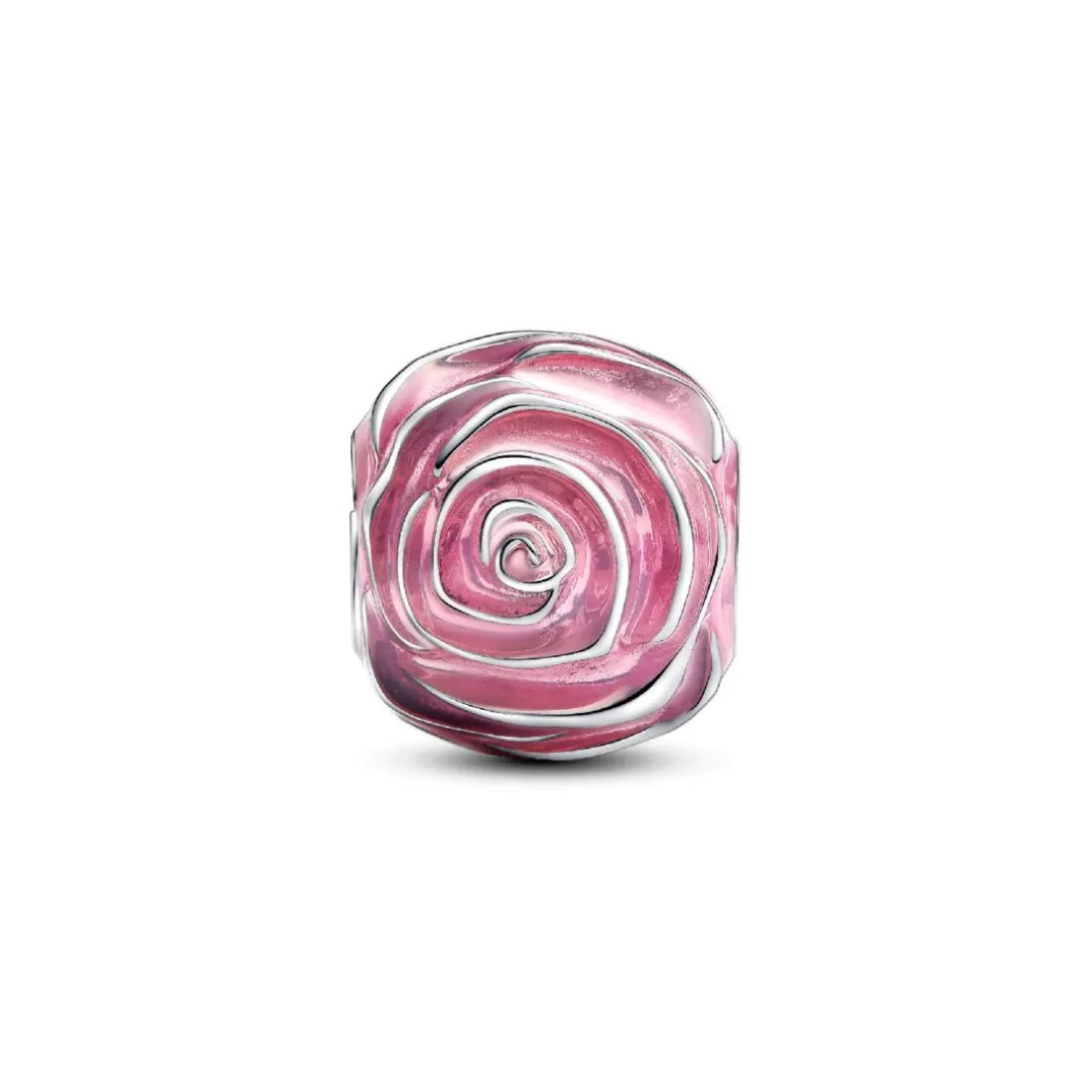 Charm Rose Épanouie Rose
