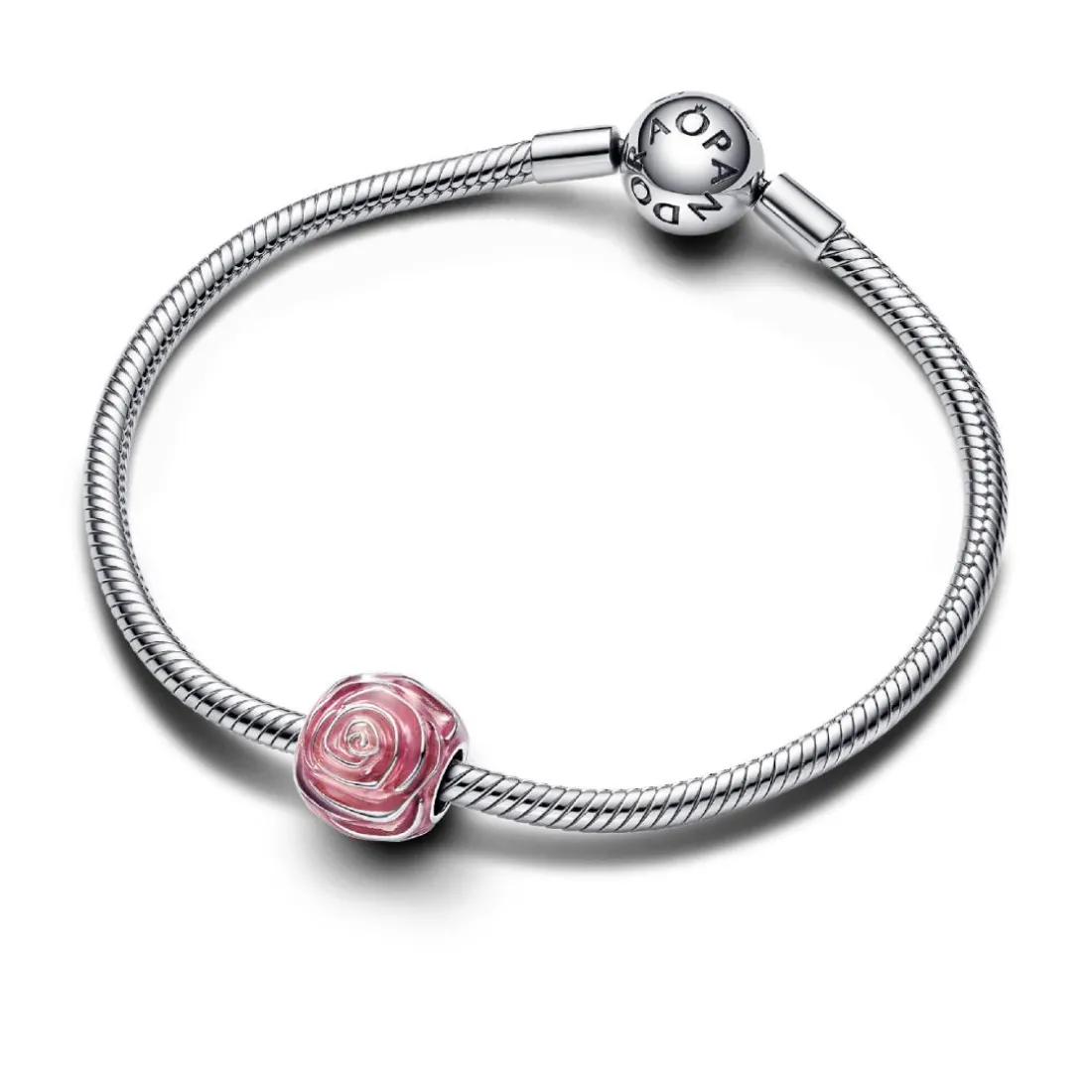 Charm Rose Épanouie Rose
