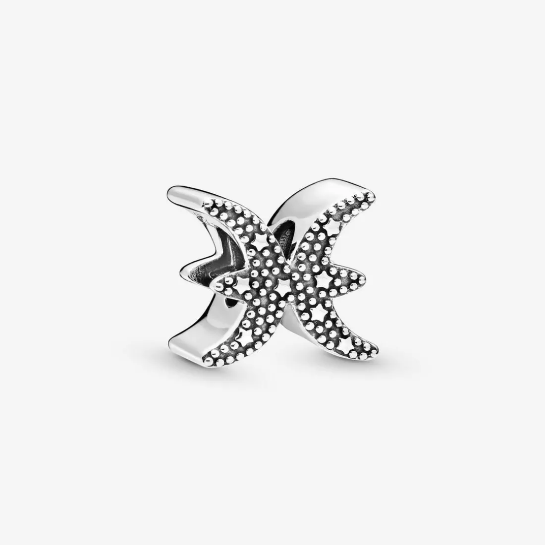 Charm Zodiaque Poisson Signe Astrologique