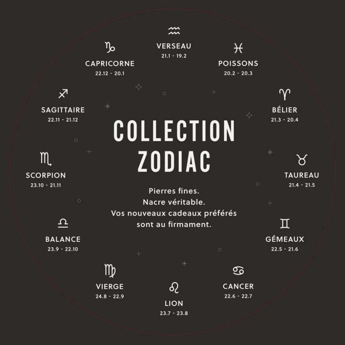 Collier Femme Fossil Bijoux Signes du Zodiaque Gémeaux - JF04840710 Acier inoxydable