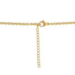 Collier et pendentif Femme Edforce 226-0046-S - Acier Doré