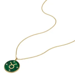 Collier Femme Fossil Bijoux Signes du Zodiaque Taureau - JF04839710 Acier inoxydable