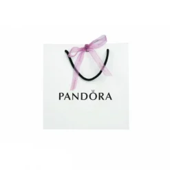 Jonc Fermoir Cercles Pandora Moments Doré Rose